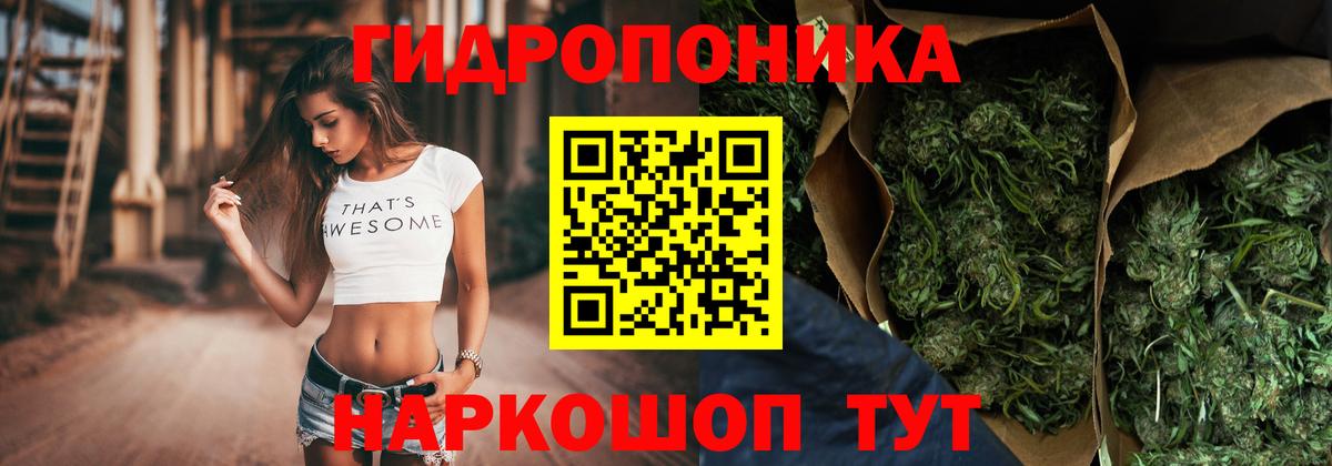 Псилоцибиновые грибы Бугуруслан